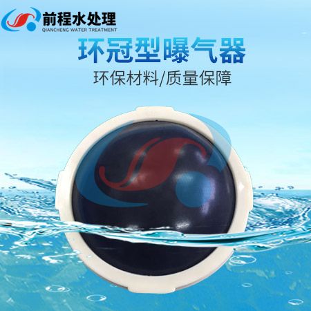 1609139863817462.jpg 環冠型曝氣器.jpg