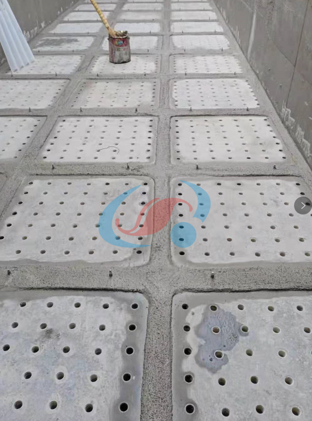 1614240238246850.png r.png