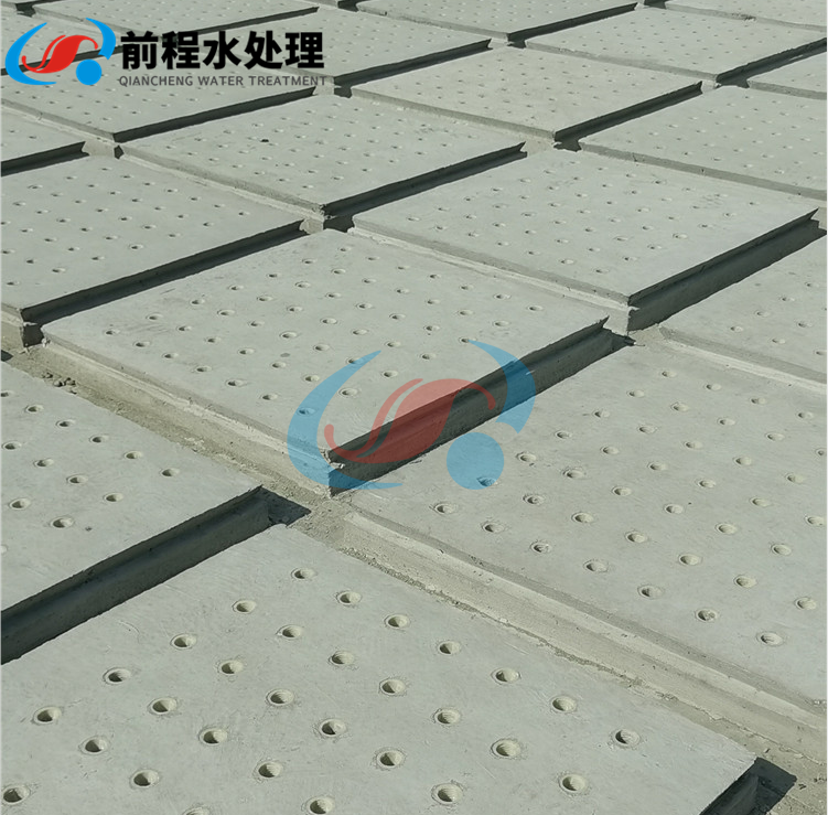 1616489428264891.png 1.png